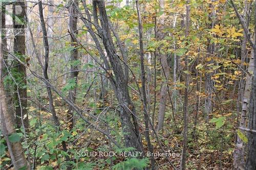 2209 Jochem Road, Edwardsburgh/Cardinal, ON 