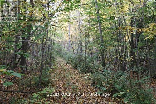 2209 Jochem Road, Edwardsburgh/Cardinal, ON 