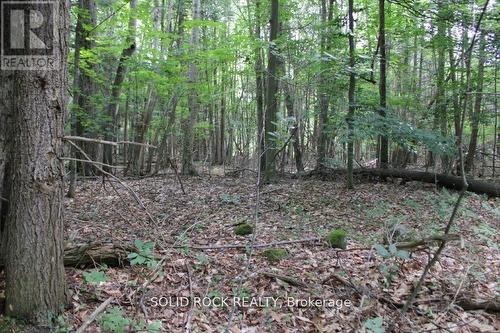 2209 Jochem Road, Edwardsburgh/Cardinal, ON 