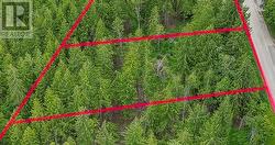 119 Timberlane Road  Enderby, BC V0E 1V1