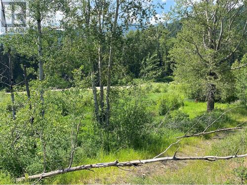 5325 Highway 33 Highway, Beaverdell, BC - Outdoor