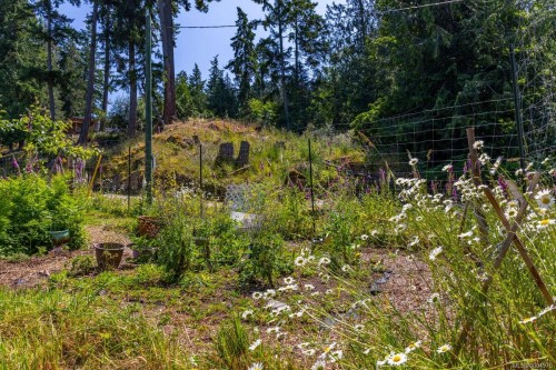 2620 Gunwhale Rd, Pender Island, BC 