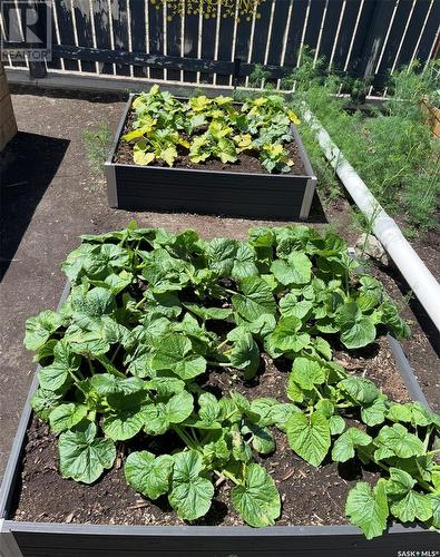 405 4Th Avenue E, Shaunavon, SK - Outdoor