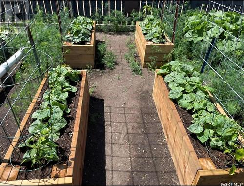 405 4Th Avenue E, Shaunavon, SK - Outdoor