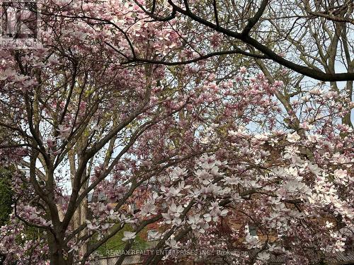 4425 Sawmill Valley Drive, Mississauga, ON - Outdoor