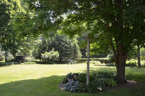 Jardin - 908 Ch. Dutch, Saint-Armand, QC - Outdoor