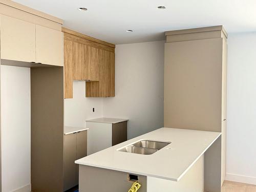 Kitchen - 802-802 Rue Valiquette, Sainte-Adèle, QC - Indoor Photo Showing Kitchen With Double Sink