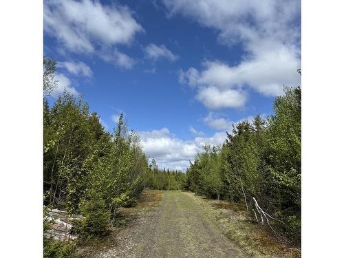 Acreage No 101 Highway, Ardoise, NS 