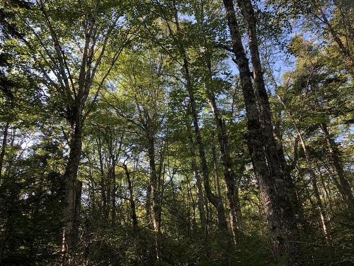 Acreage No 101 Highway, Ardoise, NS 