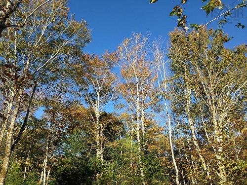 Acreage No 101 Highway, Ardoise, NS 