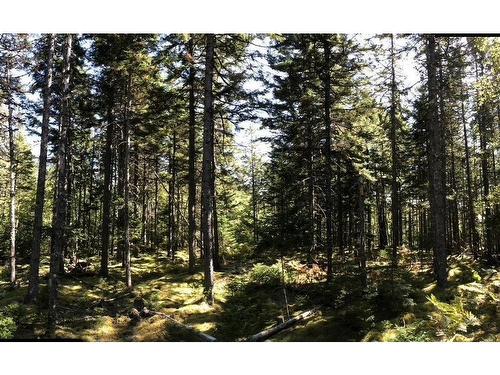 Acreage No 101 Highway, Ardoise, NS 