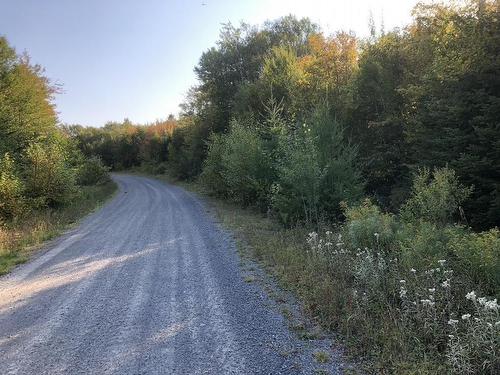 Acreage No 101 Highway, Ardoise, NS 