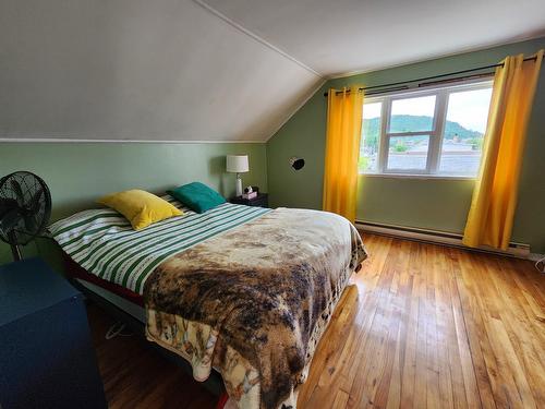 Chambre à coucher principale - 665 Rue Castelnau, La Tuque, QC - Indoor Photo Showing Bedroom