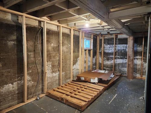 Sous-sol - 665 Rue Castelnau, La Tuque, QC - Indoor