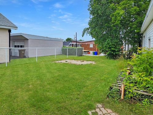 Cour - 665 Rue Castelnau, La Tuque, QC - Outdoor