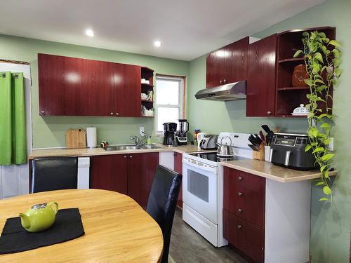 Cuisine - 665 Rue Castelnau, La Tuque, QC - Indoor Photo Showing Kitchen With Double Sink