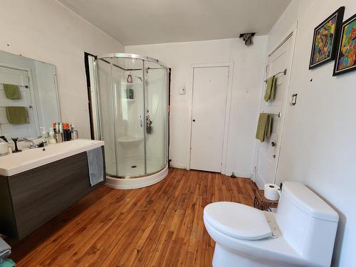 Salle de bains - 665 Rue Castelnau, La Tuque, QC - Indoor Photo Showing Bathroom