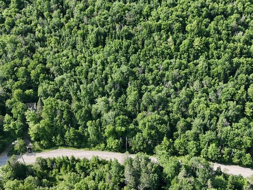 Land/Lot - Mtée Gagnon, Val-David, QC 