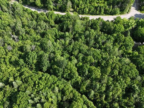 Terre/Terrain - Mtée Gagnon, Val-David, QC 