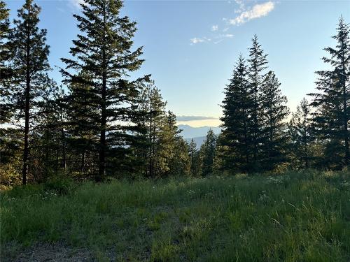 980 Bullmoose Way, Osoyoos, BC 