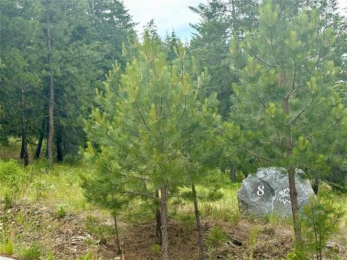 980 Bullmoose Way, Osoyoos, BC 