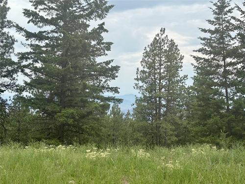 980 Bullmoose Way, Osoyoos, BC 