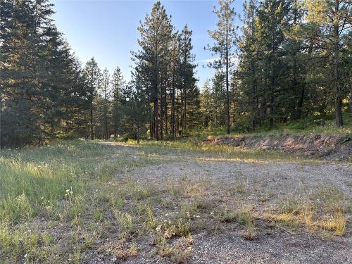 980 Bullmoose Way, Osoyoos, BC 