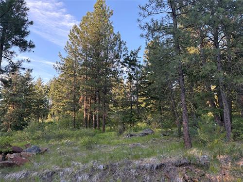 980 Bullmoose Way, Osoyoos, BC 