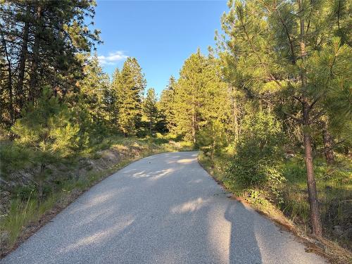 980 Bullmoose Way, Osoyoos, BC 