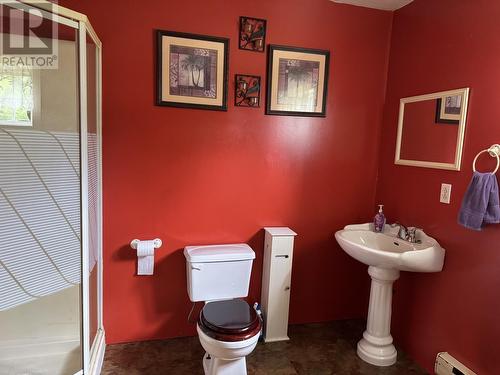 13 Southside Road, Boyd'S Cove, NL - Indoor Photo Showing Bathroom