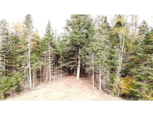 Lot Glencoe Rd, Nashwaak Bridge, NB 