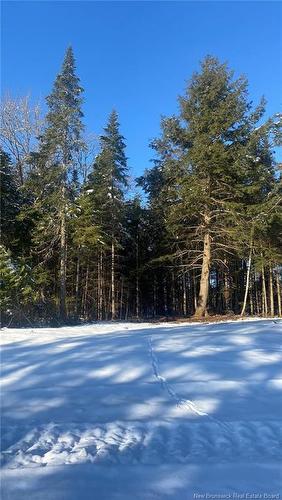 Lot Glencoe Rd, Nashwaak Bridge, NB 
