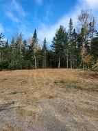 LOT Glencoe RD  Nashwaak Bridge, NB E6C 1T5