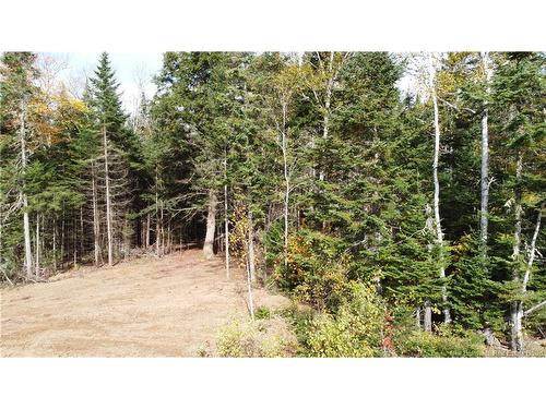 Lot Glencoe Rd, Nashwaak Bridge, NB 