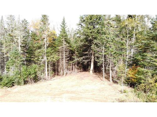 Lot Glencoe Rd, Nashwaak Bridge, NB 