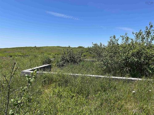 Christie'S Cove Road, West Baccaro, NS 