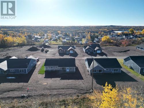 46 Mcdonald Crescent, Bishop'S Falls, NL - Outdoor With View