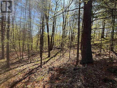 1085 Old Mine Road, Frontenac (Frontenac South), ON 