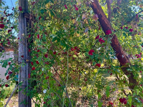 374 Nicol St, Nanaimo, BC 