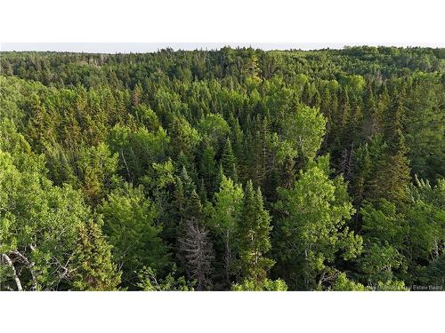 Lot 3 Murray Rd, Smiths Corner, NB 