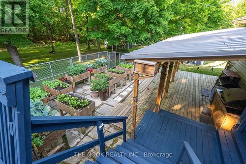 12482 Highway 28 Road, North Kawartha, ON - Outdoor With Deck Patio Veranda