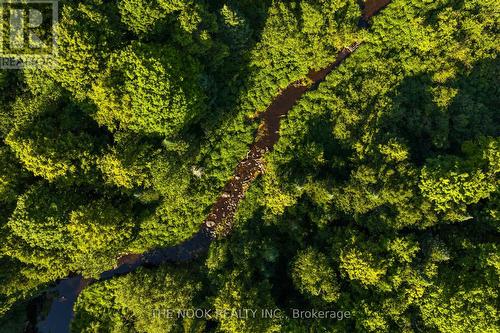 12482 Highway 28 Road, North Kawartha, ON - Outdoor