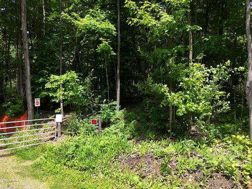 Façade - Rue Roger, Saint-Colomban, QC 