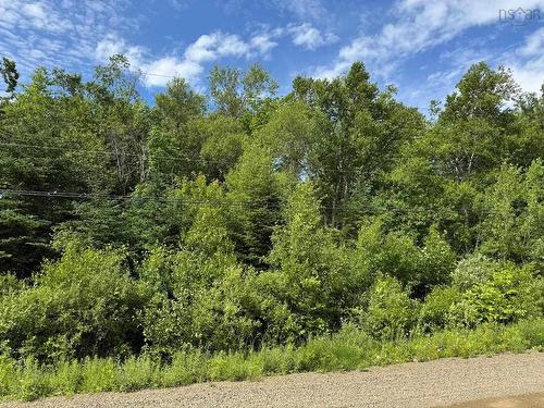 Lot 2001 Long Beach Road, Glenmont, NS 