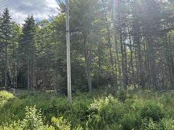 LOT Beechmont Road  Beechmont, NS B2A 4K3