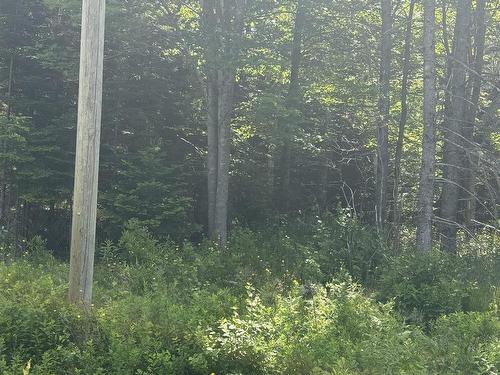 Lot Beechmont Road, Beechmont, NS 