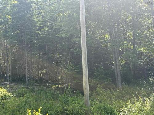 Lot Beechmont Road, Beechmont, NS 