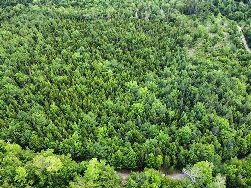 Lot 104 Arenburg Road, Buckfield, NS 