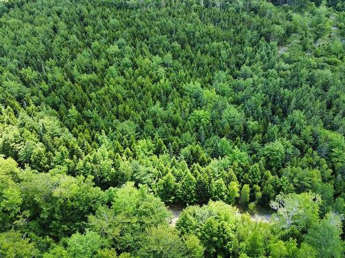 Lot 102 Arenburg Road, Buckfield, NS 