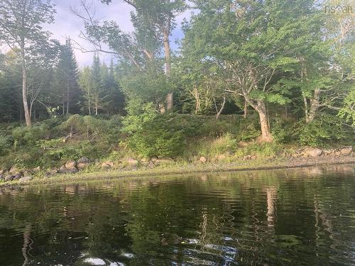 Lot 102 Arenburg Road, Buckfield, NS 